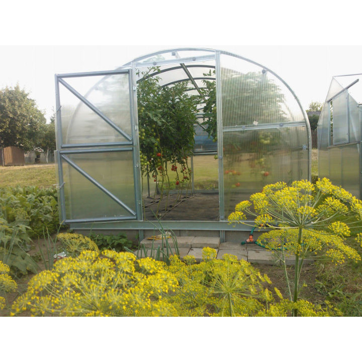 Durys šiltnamiui Klasika