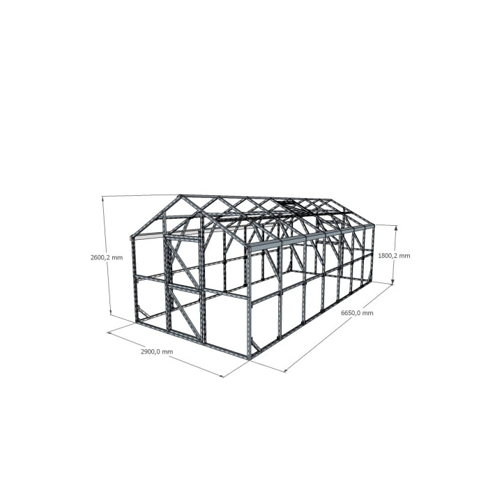 Dvišlaitis šiltnamis 2900x6650 – Erdvus ir patvarus modelis | Sodenis.lt